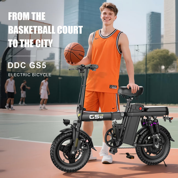 500W Adult GS5 Electric Bike